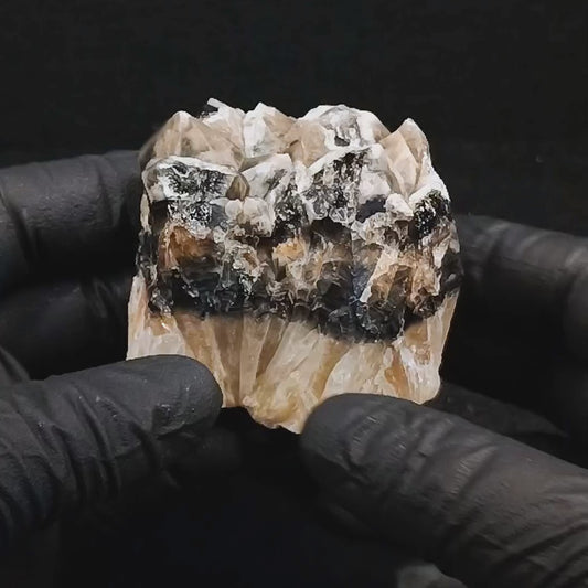 Smoky Quartz Cluster (#408) ~ Parkesburg, PA