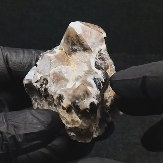 Smoky Quartz Cluster (#405) ~ Parkesburg, PA