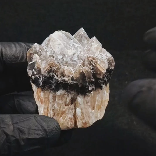 Smoky Quartz Cluster (#403) ~ Parkesburg, PA