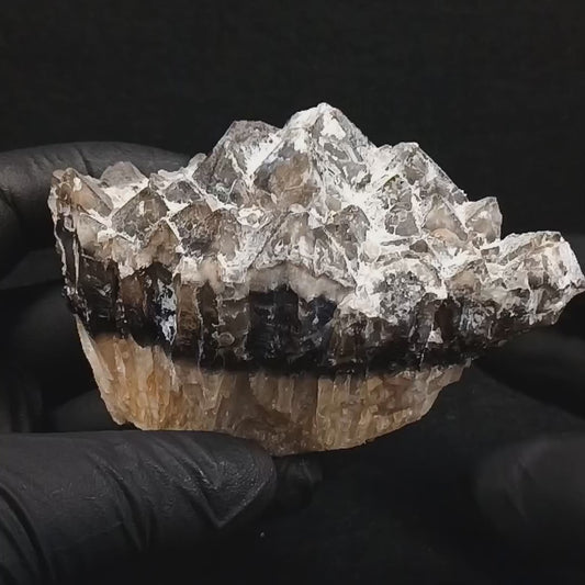 Smoky Quartz Cluster (#412) ~ Parkesburg, PA