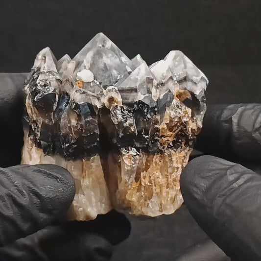 Smoky Quartz Cluster (#415) ~ Parkesburg, PA